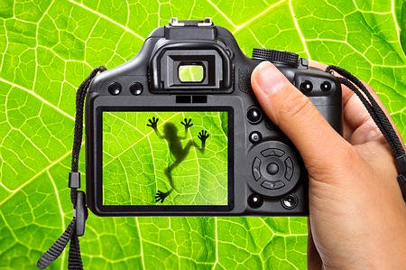 10 هوايات مضادة للاكتئاب - 11