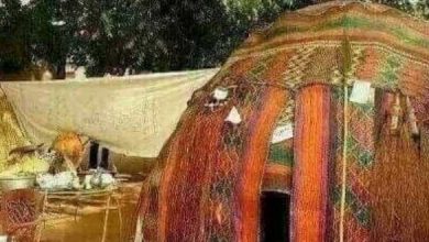 الإعلامي الإريتري محجوب حامد يكتب «معشُورا».. (قصة قصيرة) - 2