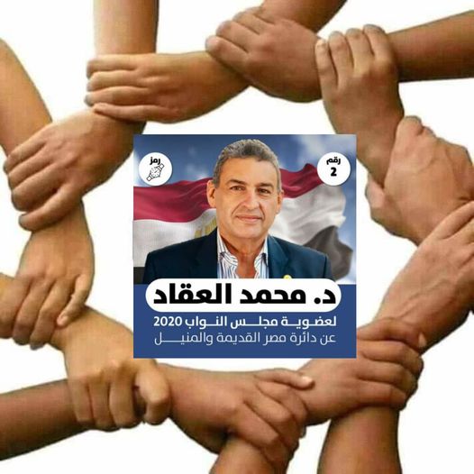 شباب «المنيل ومصر القديمة» يدشنون مبادرة جديدة لدعم النائب «محمد العقاد» - 4