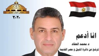 شباب «المنيل ومصر القديمة» يدشنون مبادرة جديدة لدعم النائب «محمد العقاد» - 4