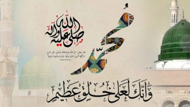 كل عام وأنتم إلى الله أقرب - في رحاب خير البرية - المولد النبوي الشريف