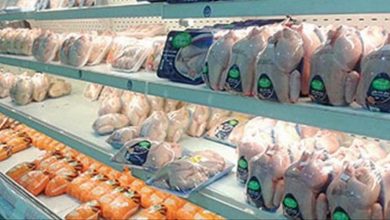 التموين تطرح دواجن مجمدة بسعر 30 جنيها بدلا من 37 بالمجمعات الاستهلاكية