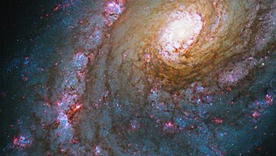 تلسكوب أسترالى يسجل شبكة كونية طولها 50 مليون سنة ضوئية - 2