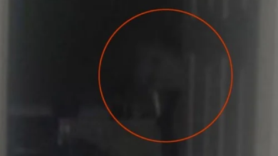 شبح في المطبخ.. شاب يلتقط صورة سيلفي تصيبه بصدمة عصبية - 4