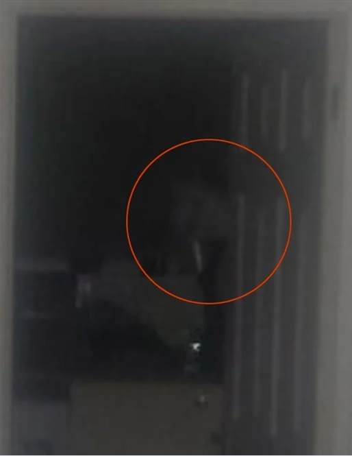 شبح في المطبخ.. شاب يلتقط صورة سيلفي تصيبه بصدمة عصبية