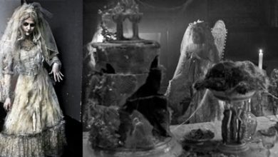 فستان زفاف مسكون.. الأبواب تغلق والأنوار تنطفئ وتضئ والشموع تنفجر