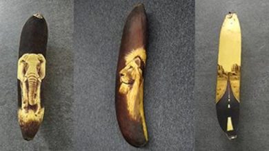 لم تستخدم الأقلام أو الألوان أو الرصاص.. بريطانية تبدع فى الرسم على الموز.. (صور)