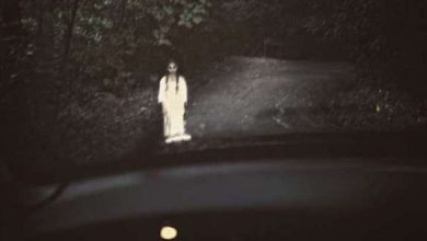 منطقة الموت.. سر الأشباح «المسافرة» على الطريق السريع بفلوريدا - 6