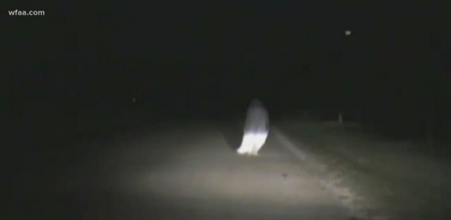 منطقة الموت.. سر الأشباح «المسافرة» على الطريق السريع بفلوريدا