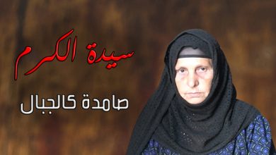 النائب العام يأمر بالطعن على حكم براءة المتهمين بهتك عرض سيدة الكرم