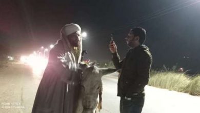 بعد التحقق من شخصيته وهدفه.. الإفراج عن صاحب «واقعة الحمار» بالمنيا
