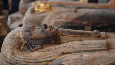 جدل مستمر حول استخراج المومياوات وعرضها بالمتاحف.. الإفتاء لامانع شرعاً