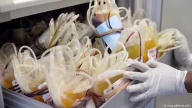 غرامة 2 مليون جنيه لمن يدير مركز غير مرخص لتجميع البلازما