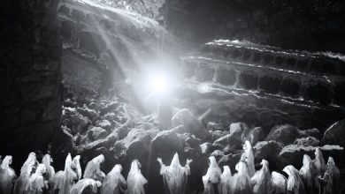 ما حكم تمثيل الأنبياء والصحابة وأمهات المؤمنين في الأعمال التليفزيونية؟