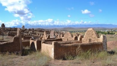 هنا «مشرحة زينهم».. قبر ينشق نصفين بين زوجين وصدمة لطبيب التشريح