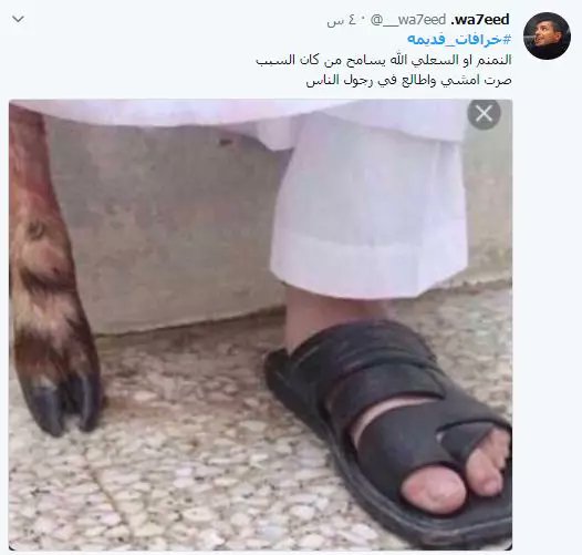 «النمنم».. أشهر أسطورة أثارت الرعب في السعودية.. (فيديو)