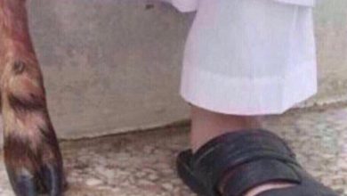 «النمنم».. أشهر أسطورة أثارت الرعب في السعودية.. (فيديو)