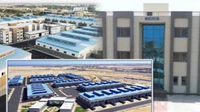 دعم الصناعة الوطنية وزيادة فرص العمل.. أبرز أهداف «حياة كريمة» للتمكين الاقتصادى