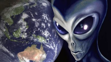 ما حقيقة وجود كائنات فضائية وهل نحن وحدنا بالكون؟.. رئيس معهد الفلك يرد