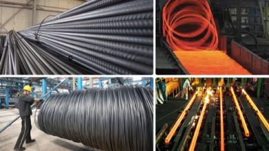 الرئيس السيسي يتابع خطوات تطوير قطاعى صناعة الأسمنت والحديد والصلب