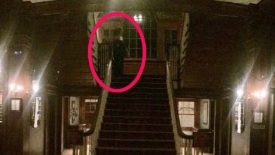 السفارة أخفت عنهم مقتل 19 شخصًا بالفندق.. قصة «المصري» مع الأشباح في مالي