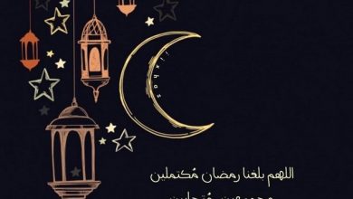 دليل الظمآن في دعاء رمضان .. وأدعية 30 يوم من الشهر الفضيل.. مكتوبة ومسموعة
