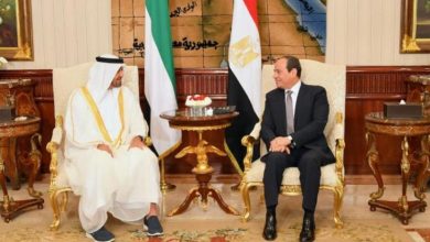 قمة «السيسي - بن زايد» تعكس عمق التحالف الاستراتيجي الراسخ بين مصر والإمارات