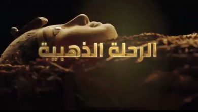 «كبسولات نيتروجينية».. كيف تنقل المومياوات الملكية لمتحف الحضارة؟