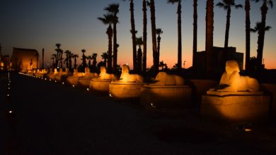 «إحياء طريق الكباش الفرعونى» مشروع قومى سياحى عالمى بالأقصر ينتظر الافتتاح خلال أسابيع