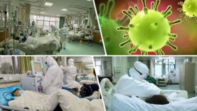 الصحة تكشف حقيقة إصابات الفطر الأسود في مصر وعلاقته بفيروس كورونا