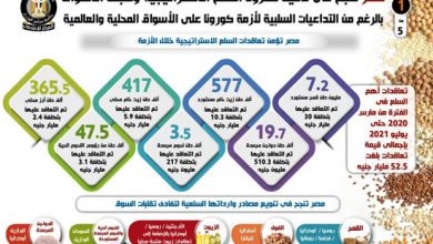 مصر تنجح في تأمين مخزون السلع الاستراتيجية بالرغم من كورونا.. إنفوجراف