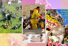 غرائب المهرجانات حول العالم.. قوارب الحليب.. سباحة الكلاب.. صور