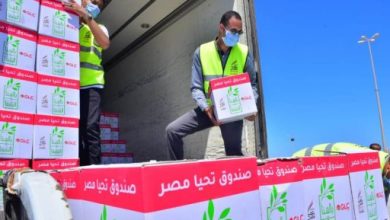 قوافل أبواب الخير تسعد المصريين.. 500 ألف كرتونة غذائية للمستحقين فى 9 محافظات